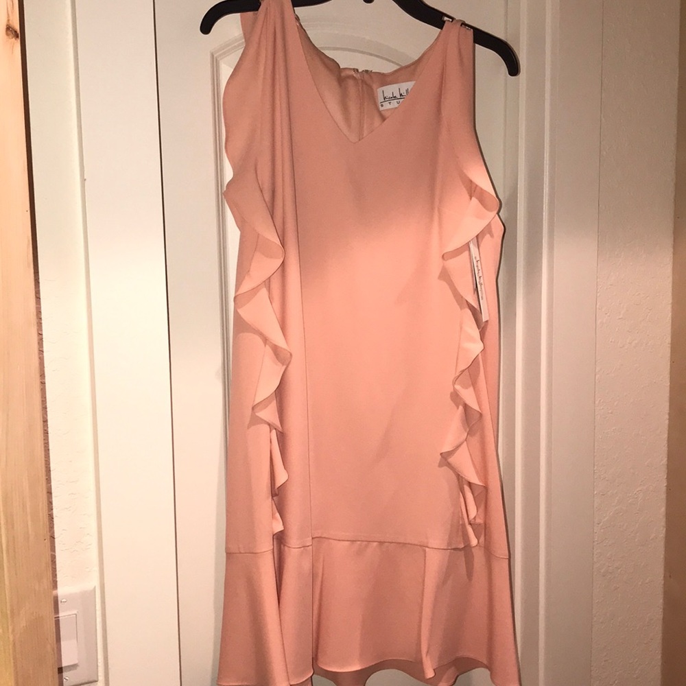 Absolutely Gorgeous  Dress